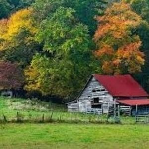 Meet your Posher, Phong